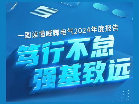 一图读懂88彩票电气2024年度报告